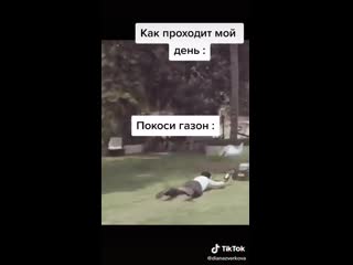 Прикольный видосик