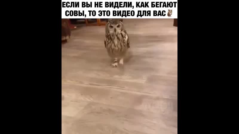 Когда мама пришла из магазина и ты ждёшь мороженку😂