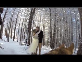 Gopro our snowy wedding (from our dog s perspective)