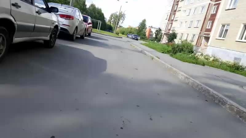 Трезвые дворы новоуральс live