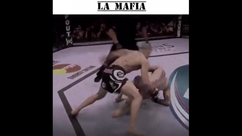Renan porn video – Ufc | renan barao