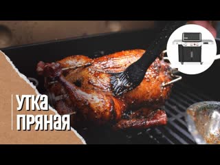 🔥🦆 пряная утка на вертеле в газовом гриле weber genesis 335, праздничный рецепт