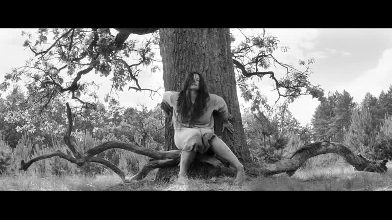 Jitka čvančarová (cvancarova) nude nabarvené ptáče (2019) hd 1080p watch online / йитка чванчарова рисованные птицы