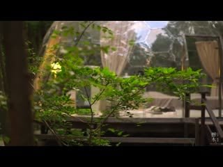 Tochigi japan in 8k 日光・那須／栃木