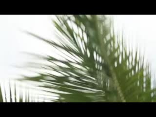 Видео эротика no porno dmitry glushkov hold you (extended mix) (сексуальная, приват ню, тфп, эротика, фотограф nude, sexy)