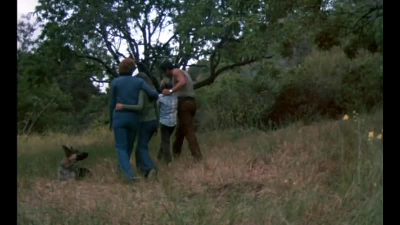 Draculas dog 1978 zoltan hound of dracula молодые дракулы