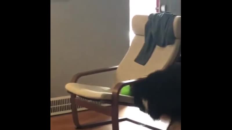 Главное не сдаваться (vhs video)