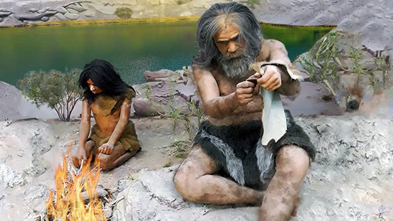 Старейшей специализированный костяной инструмент атерийской культуры, северной африки ср палеолита