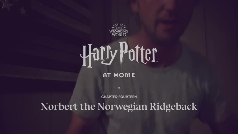 Jason isaacs, tom felton helen mccrory read harry potter
