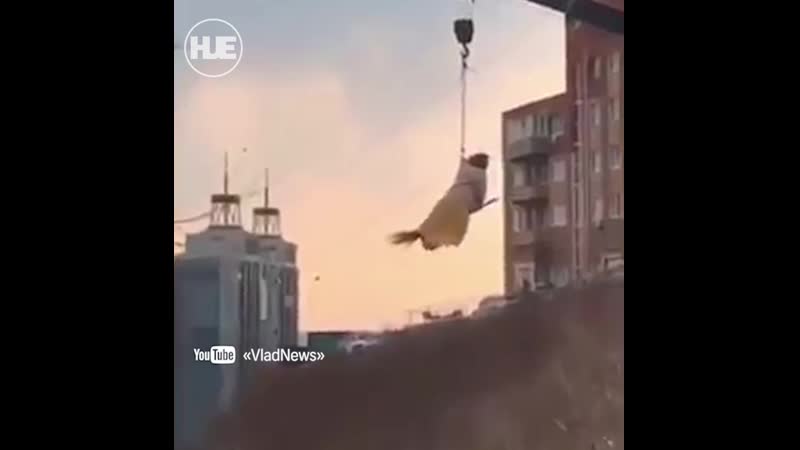 Жительница владивостока прокатилась на метле