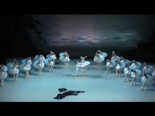 (8) mikhailovsky, julia lukianenko debut swan lake act iv finale and bows