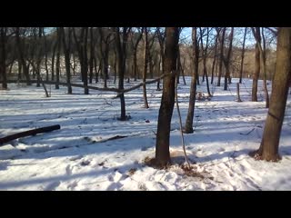 Vid 20200216 152123 mp4