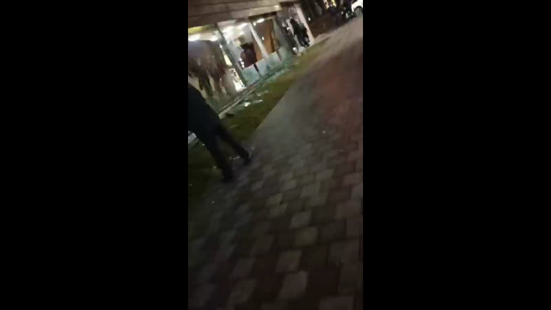 Мародёры из алма аты