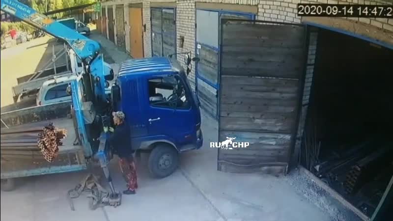 Естественный отбор