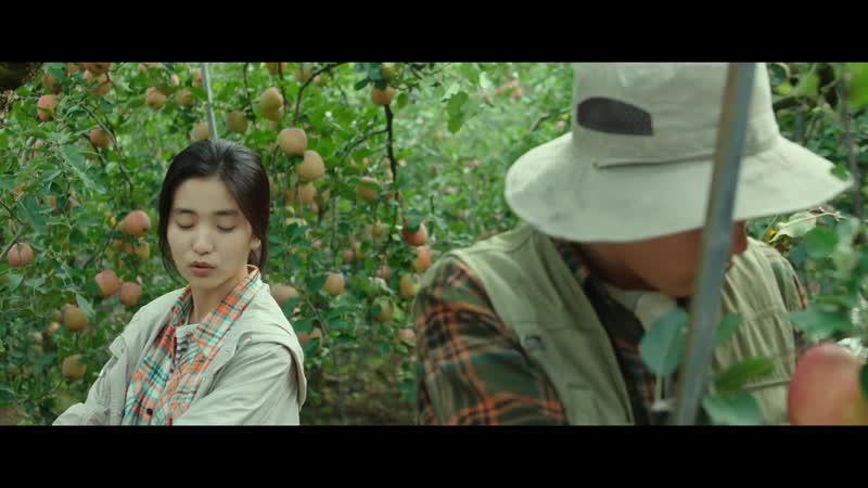 Маленький лес 2018 южная корея [озвучка steponee] dvo