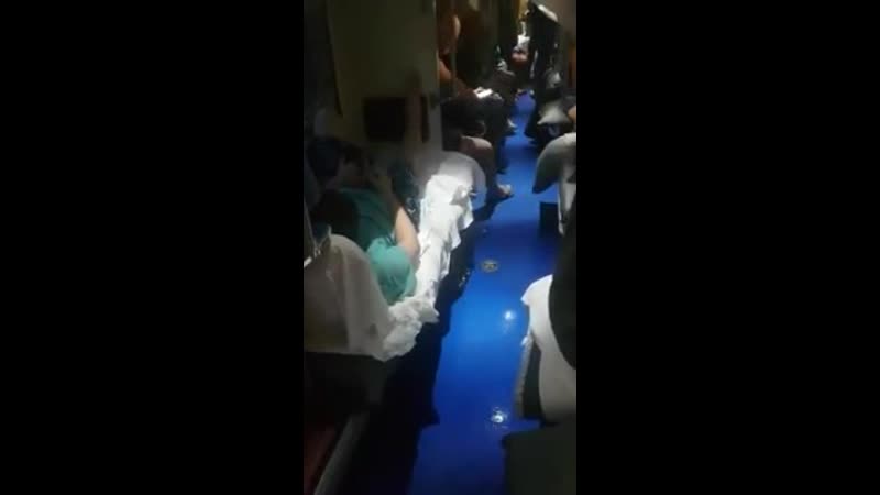 Место повышенного комфорта в поезде, мужик ссыт в плацкарте