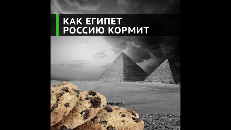Почему большая россия покупает картофель в маленьком египте?