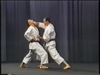 Karate tetsuhiko asai kihon and kata