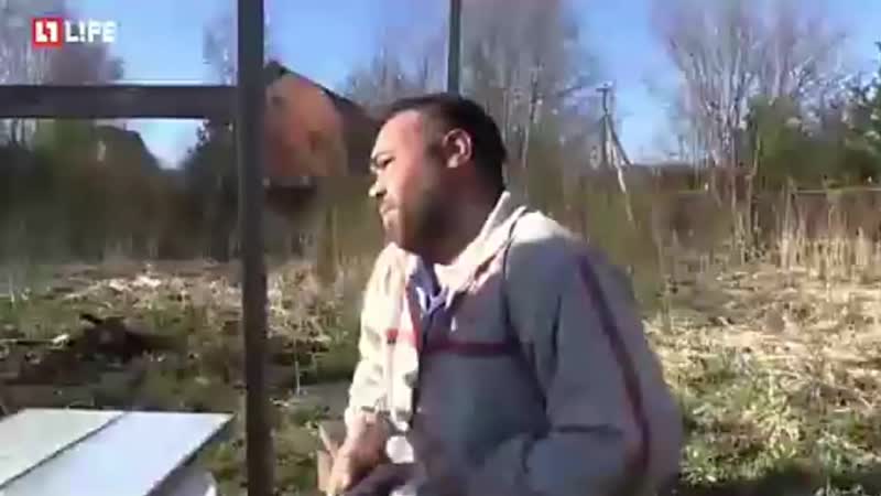 Похуй (с) димон заминированный тапок (720p) mp4