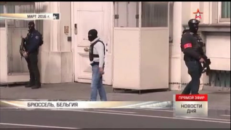 Два вербовщика игил работали водителями в европарламенте – сми