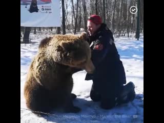 Медведь живет на аэродроме