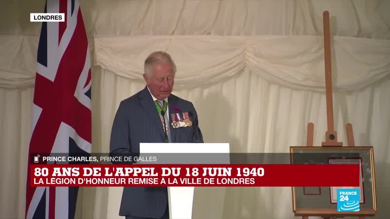 Prince charles wows public and president macron with speech in fluent french