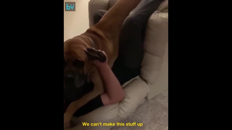 Молодые опрокинула кресло