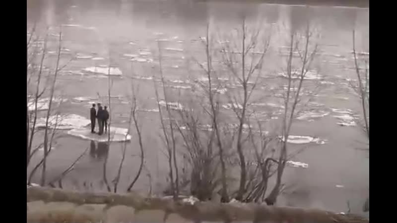 Когда проезд подорожал