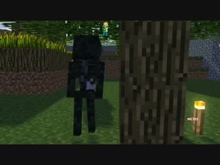 Wither skeleton life 2 best minecraft animation