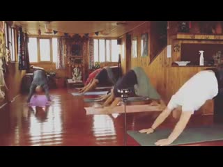 Йога с никитой в акбаль ахау