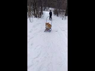 Sl mo vid 20180401 113727 mp4