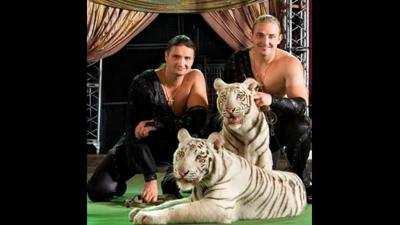 18+ запашный о немецком цирке