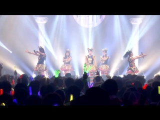 Team syachihoko start