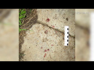 Закадычные подруги | bosom friends