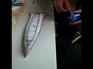 Making a paper model of an athabascan birch bark canoe