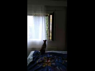 Vid 20201029 122752 mp4