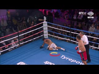 Tim tszyu vs bowyn morgan