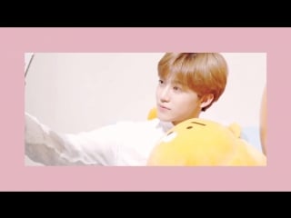 Nomin videoblogger!au [vlog] fmv [pt 2]