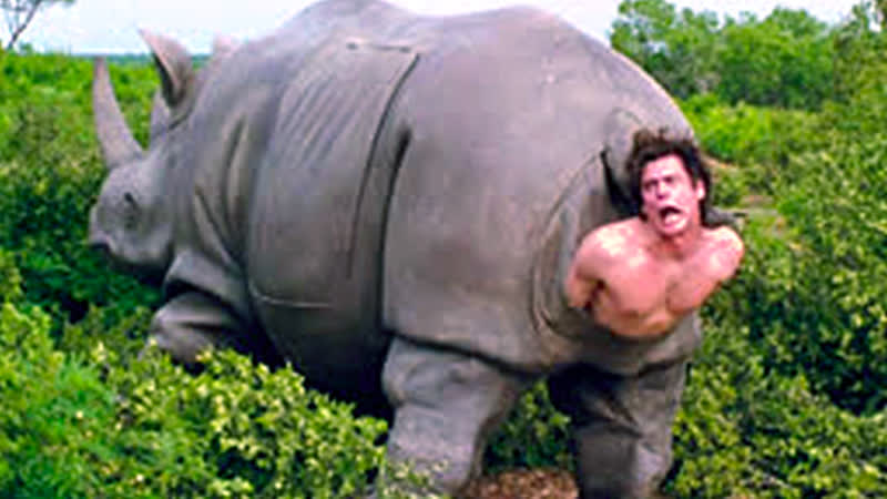 Эйс вентура 2 когда зовет природа (1995)