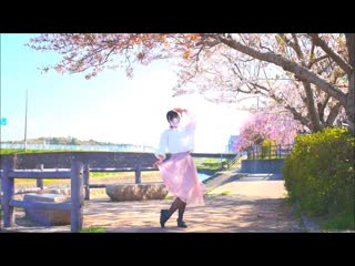 【ぽちゃり】春に一番近い街 踊ってみた【桜の下で】 niconico video sm36730601