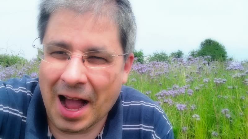 In der eu diktatur leben und demokratie wählen? europawahlen oder eu wahlen? vergleich mit türkei