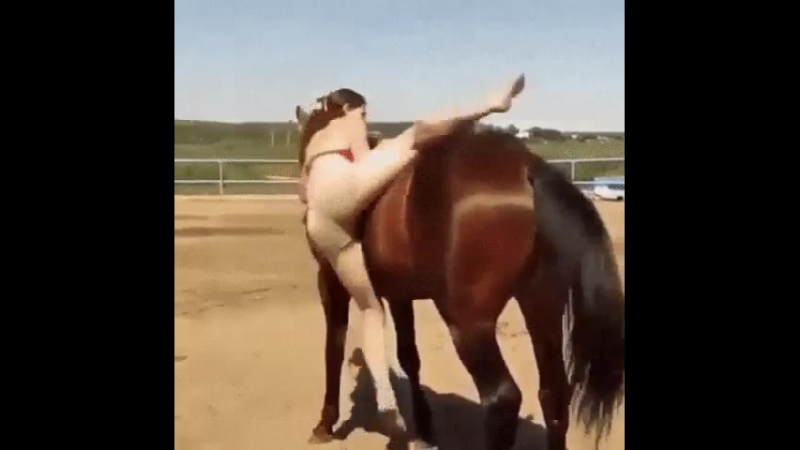 А лошадь то умнее😂