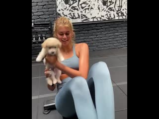 Тренироа кайи гербер