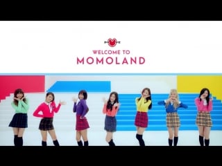 [mv] momoland jjan! koong! kwang!