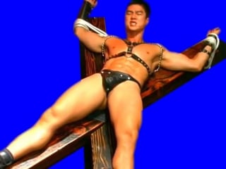 Gachimuchi fucking slaves, get your ass back here