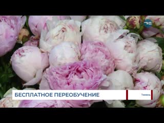 Бесплатное переобучение