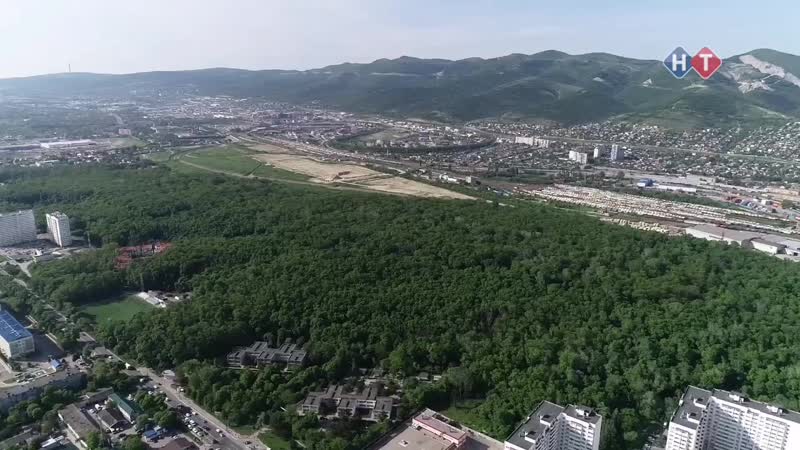 Волонтеры ролик общий