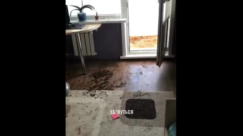 Дорогой, а давай заведём домой собачку😂