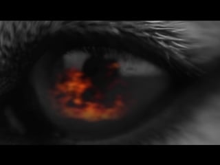 Immolation "when the jackals come" (2018)