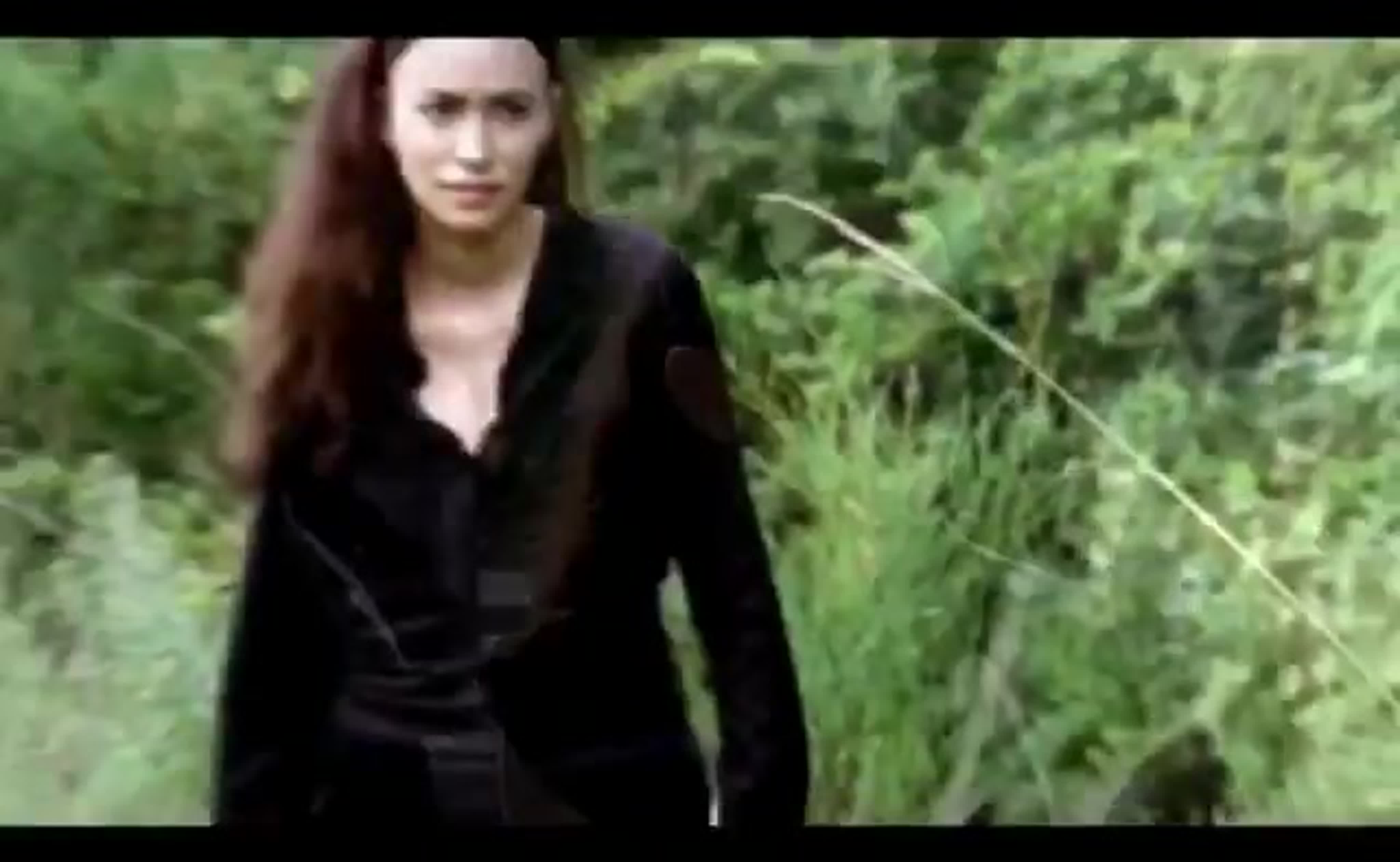 ⌜ the walking dead × rosita espinosa ⌟ watch online